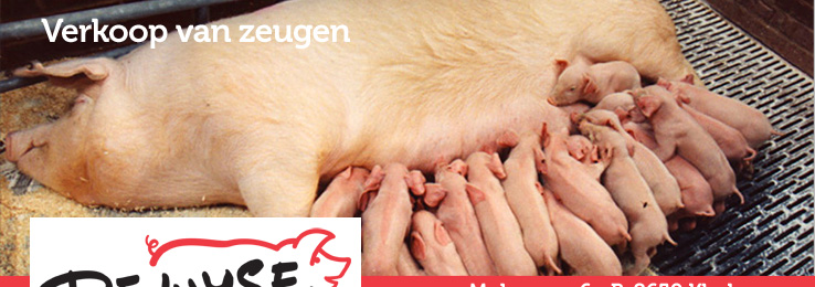verkoop van Danbred zeugen